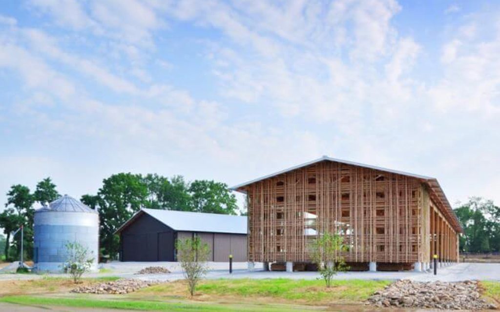 Mason Lane Farm