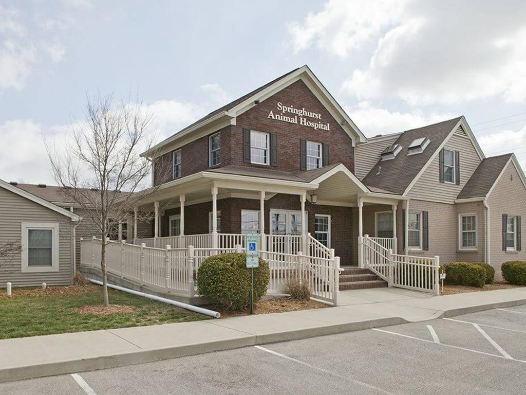 Springhurst Animal Hospital